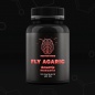 Специальный препарат Mentor Mind Fly Agaric 120 капсул