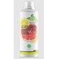 Хондропротектор Nature Foods Glucosamine Chondroinin MSM 500 мл
